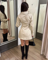 Aldo Mini Dress
