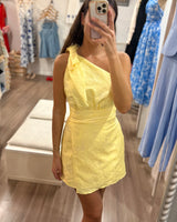 Alina Mini Dress
