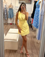 Alina Mini Dress