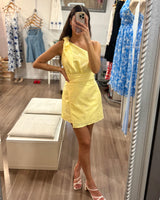 Alina Mini Dress