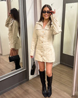 Aldo Mini Dress
